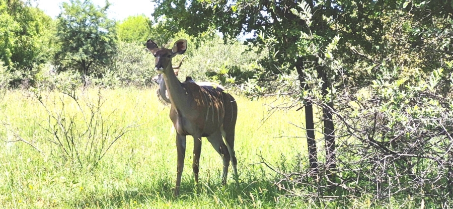 5 Bedroom Property for Sale in Rustenburg Rural North West